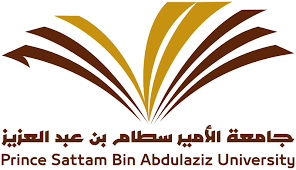 جامعة الامير سطام